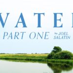 Water: Part 1 — Confessions of a Steward